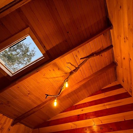 Bed and Breakfast Patagonia Nativa Cochamo Exterior foto